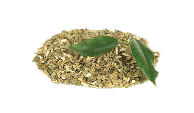 Organic Yerba Mate Extract